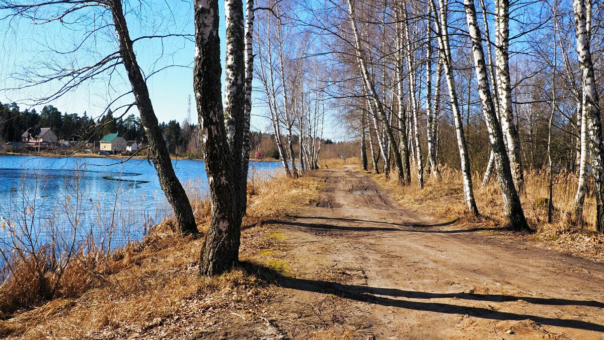 Весна на Смоленщине - Милешкин Владимир Алексеевич 