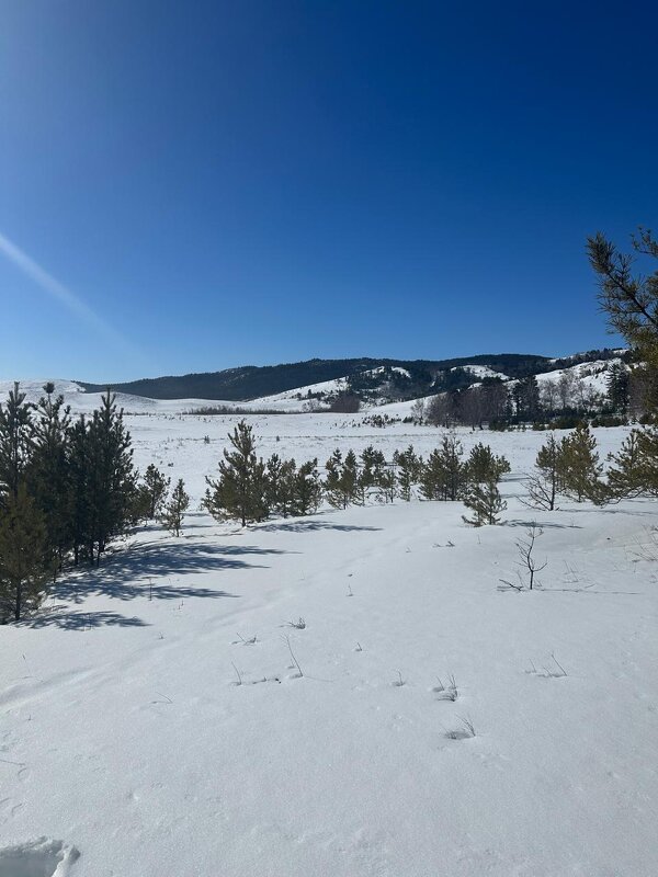 Март - Георгиевич Март - Георгиевич