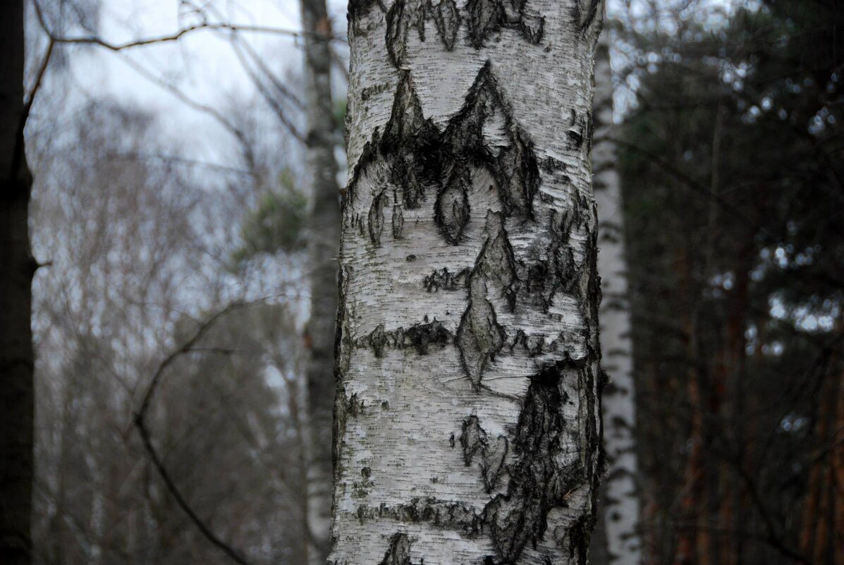 ГУ-ГУ - Юрий Вовк