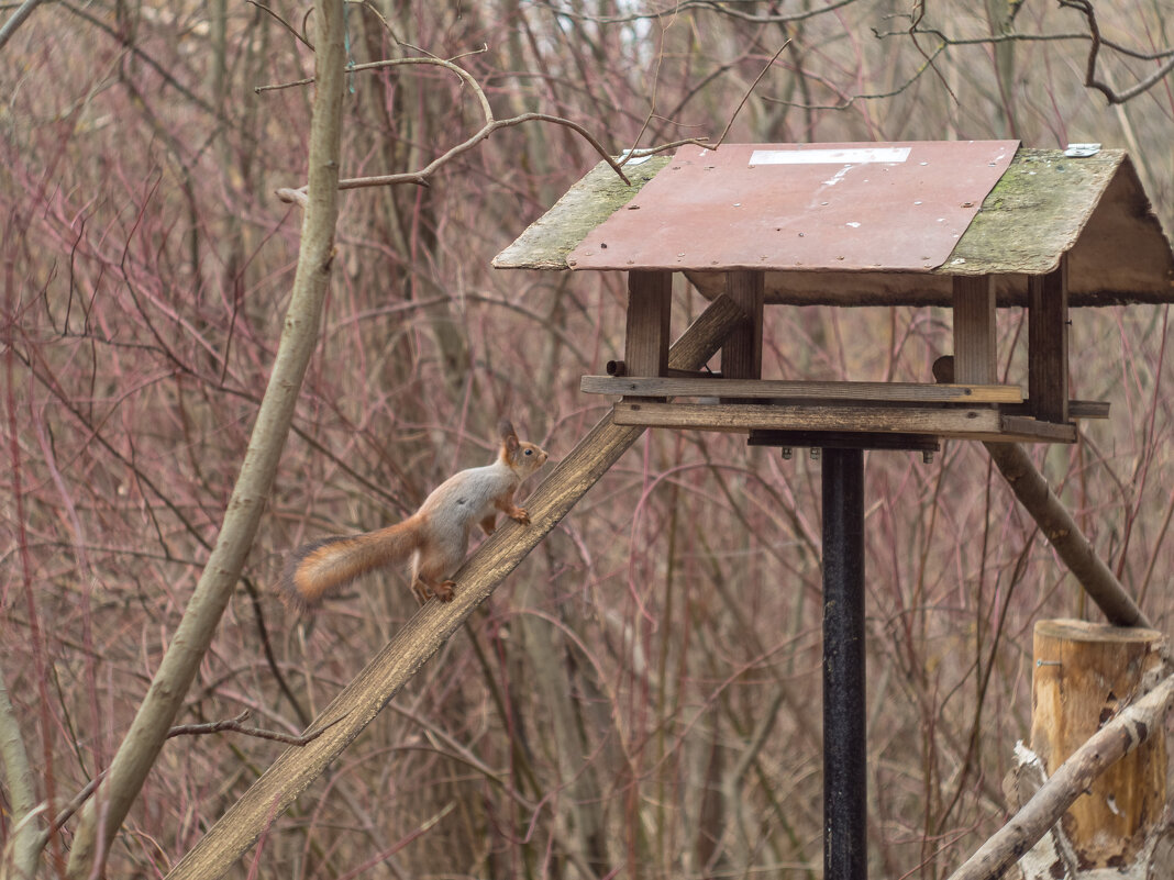 ___ - Yuriy V ___ - Yuriy V