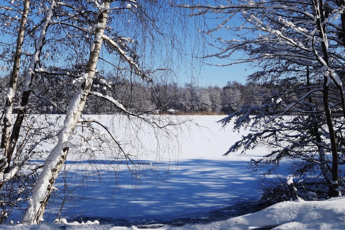 Окрестности Калининграда - Рита Симонова Окрестности Калининграда - Рита Симонова