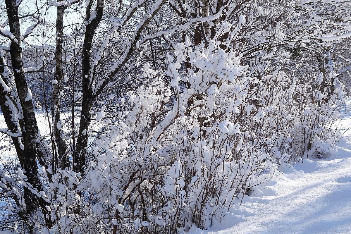 Окрестности Калининграда - Рита Симонова Окрестности Калининграда - Рита Симонова