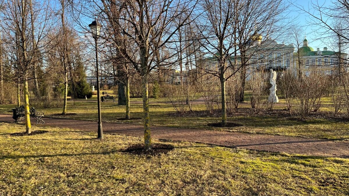 Парк у Путевого дворца. - Olga Oskolkova