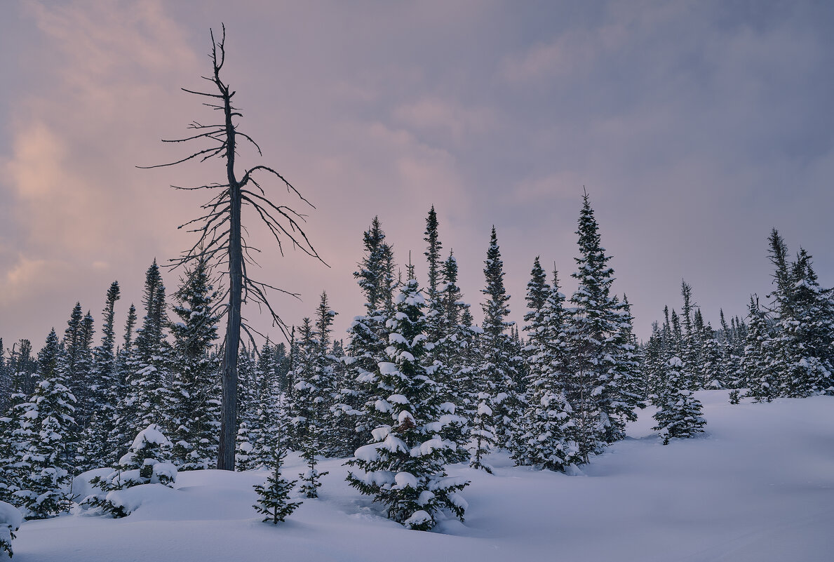 * - Александр Иванов
