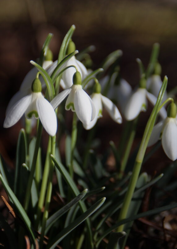 Хрупкость .. - Татьян@ Ивановна Хрупкость .. - Татьян@ Ивановна