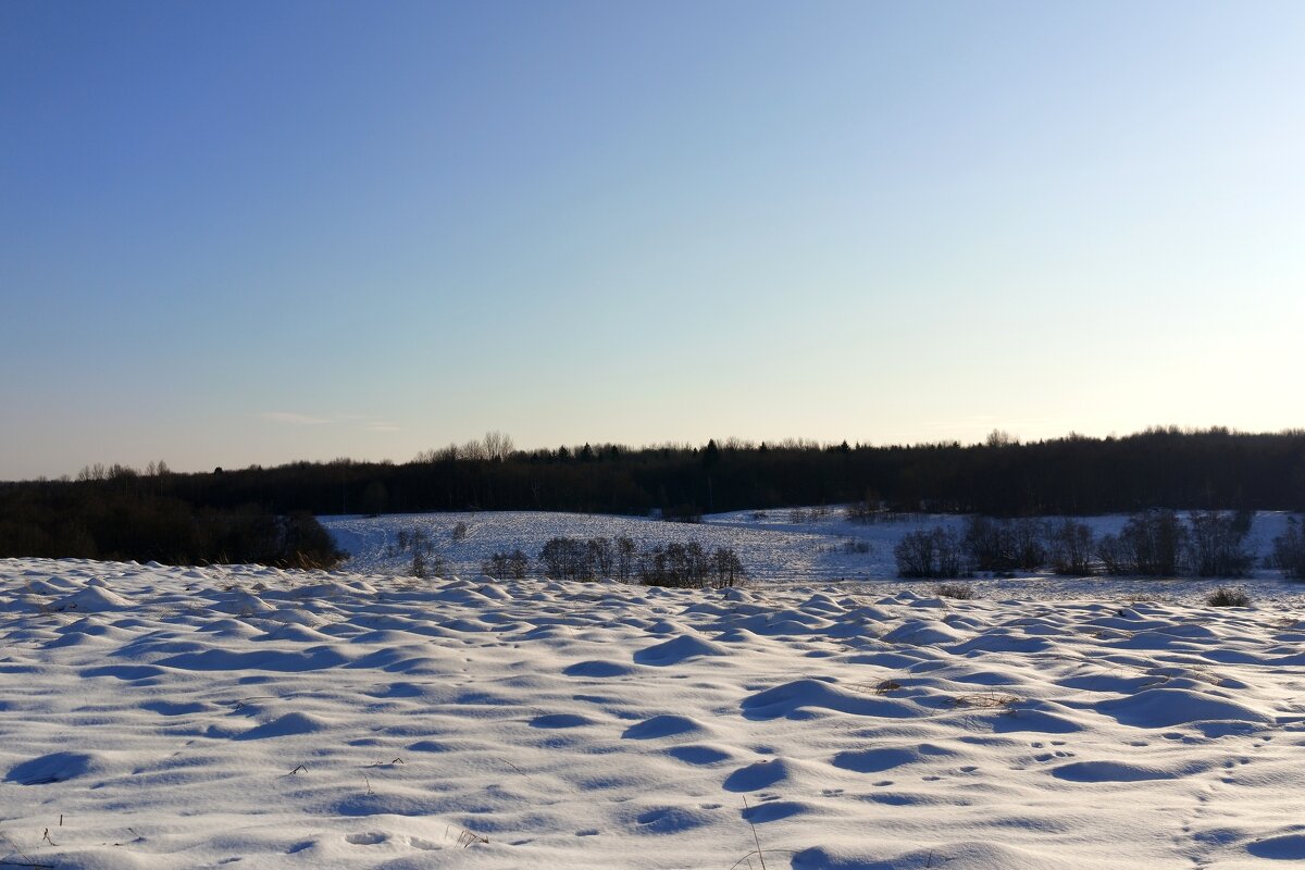 лес за рекой Полонкой - Артем 