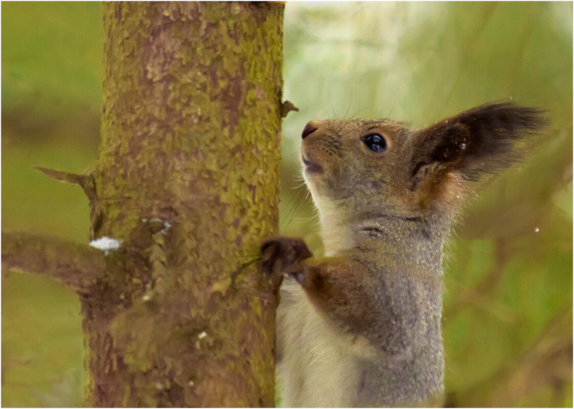 В родной стихии - Валентин Котляров
