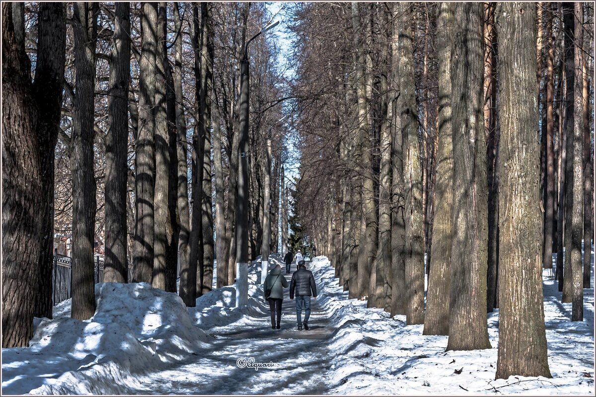 Солнечный день - Aquarius - Сергей