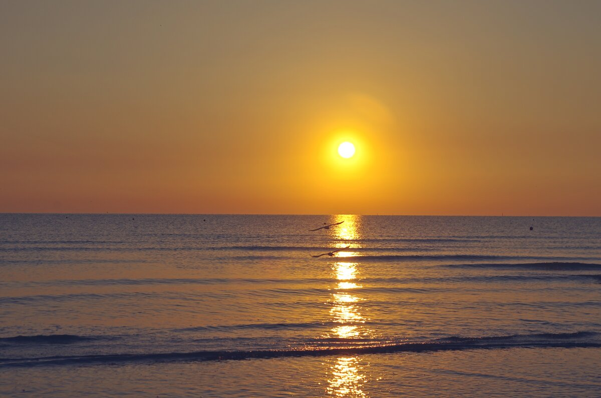 Синхронный полет - Сергей Швечков