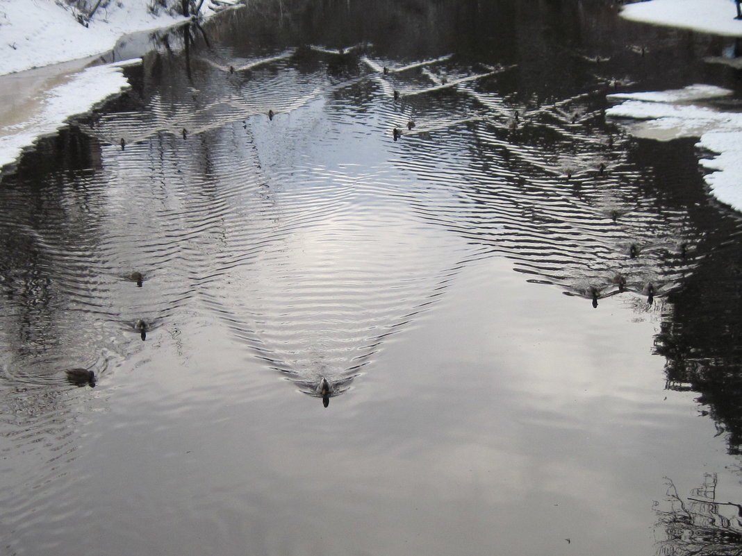 Зимние заплывы - Маера Урусова