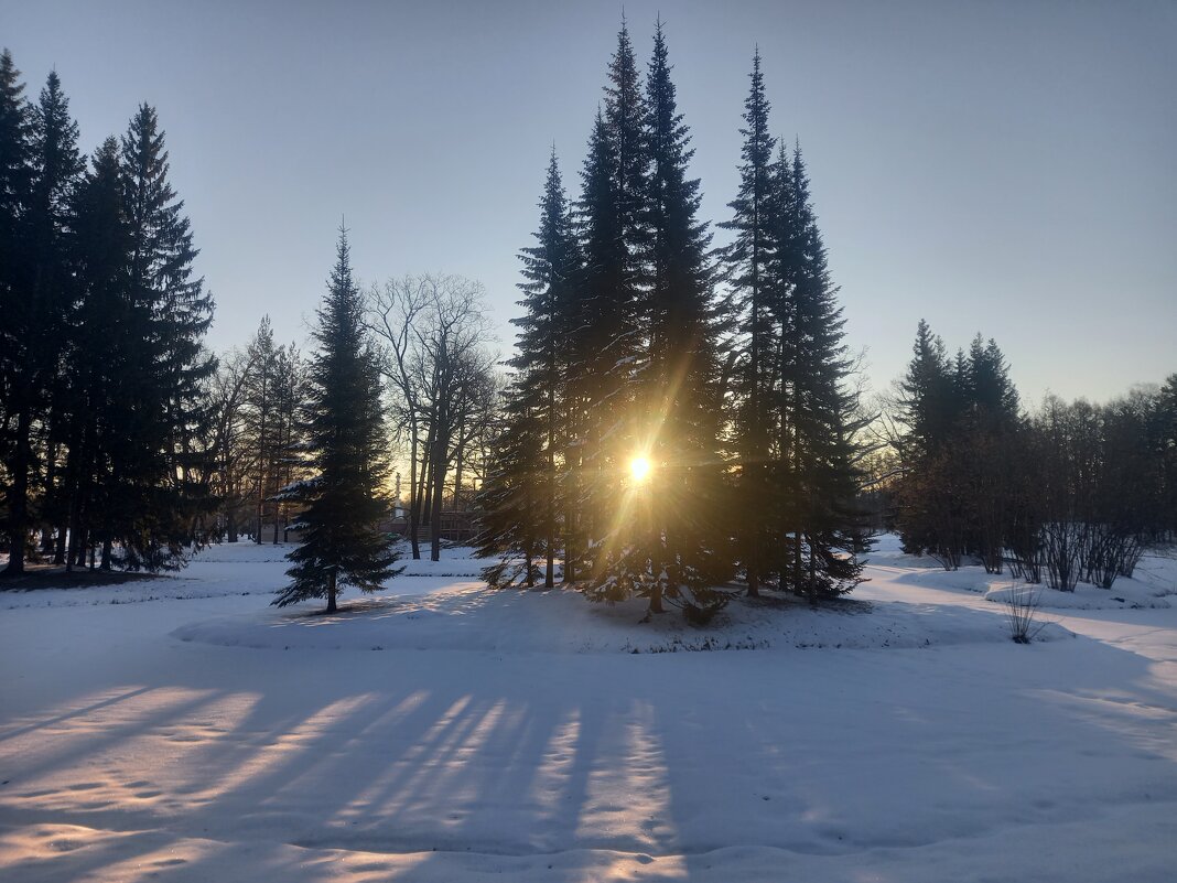 Рассвет - Сапсан 