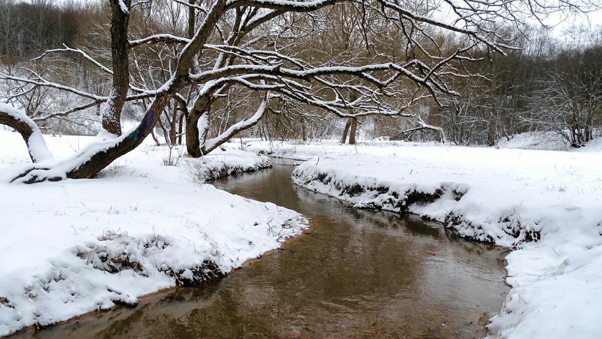 Городской парк после ночного снегопада. - Милешкин Владимир Алексеевич Городской парк после ночного снегопада. - Милешкин Владимир Алексеевич