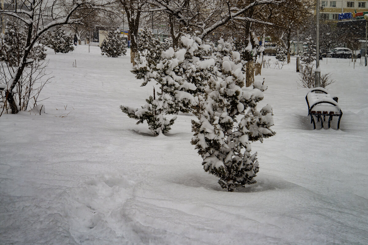 В снегу - Анатолий Чикчирный В снегу - Анатолий Чикчирный