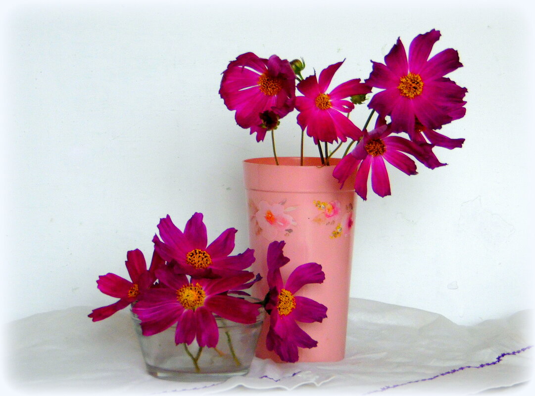 Космеи. - nadyasilyuk Вознюк