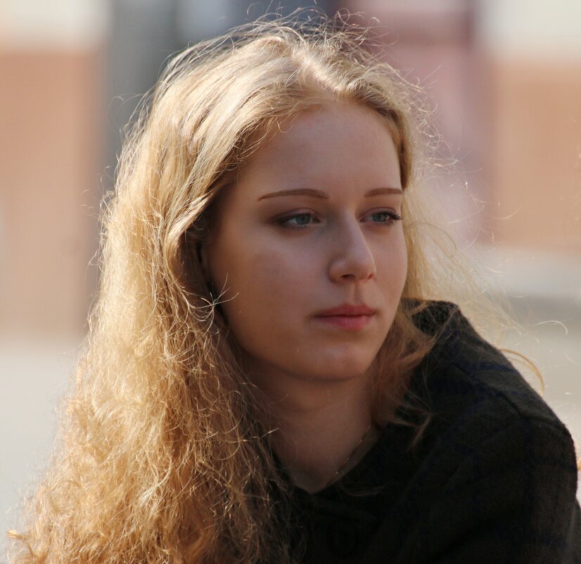 Портрет прохожей - Владимир59 