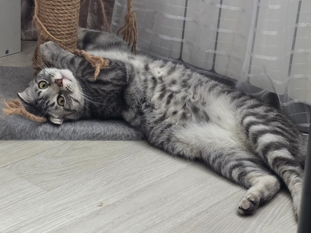 Жизнь удалась. - Ольга Довженко