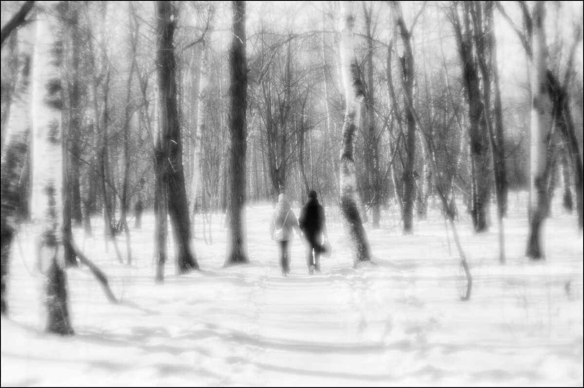 ФОТОЗАРИСОВКА ... - Владимир Железнов ФОТОЗАРИСОВКА ... - Владимир Железнов