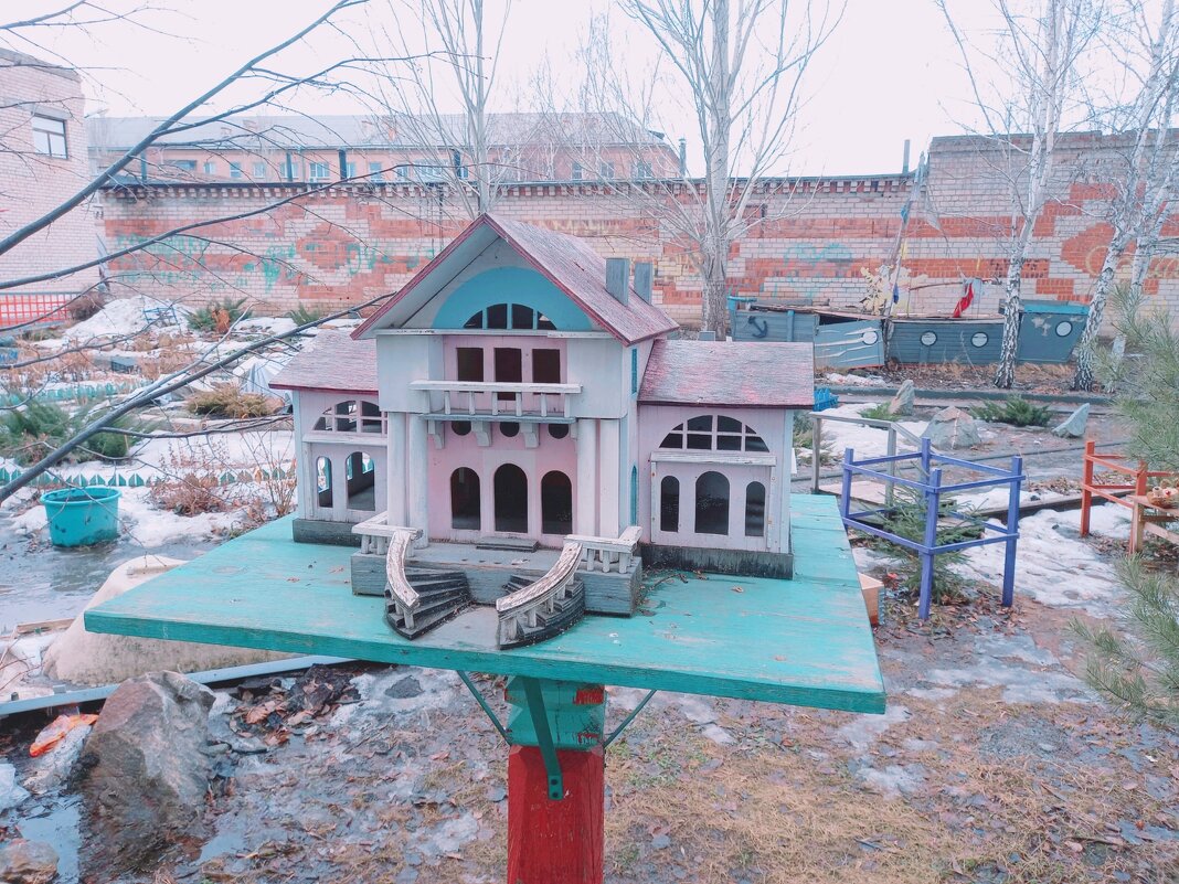 Скворечник-дворец. - Игорь Солдаткин