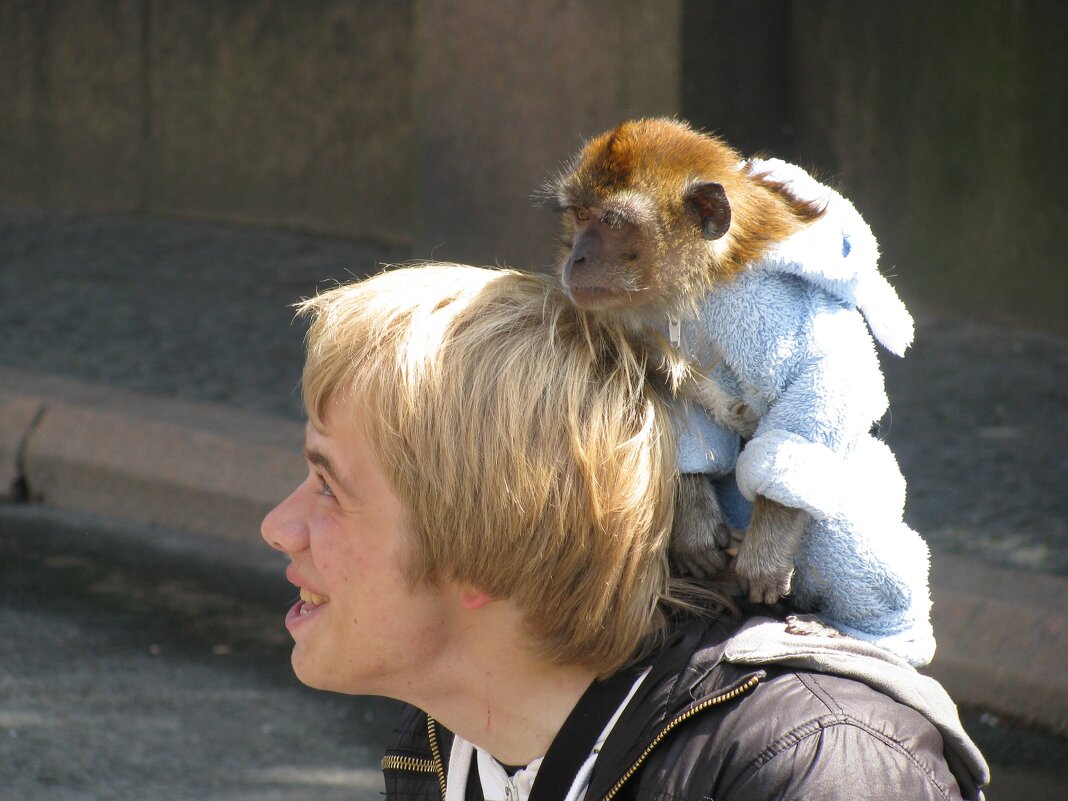 Фотограф и его ассистент - Олег Зоркий
