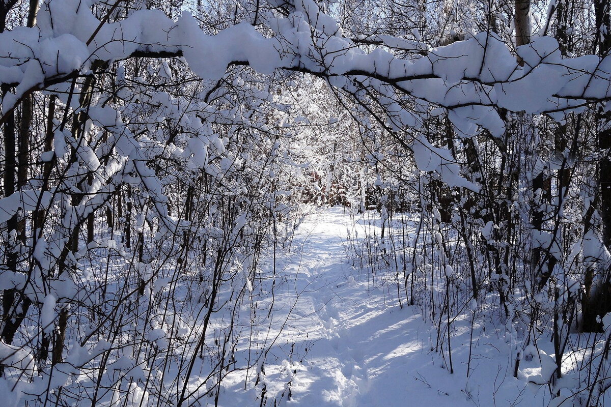 Зимушка-зима - Рита Симонова Зимушка-зима - Рита Симонова