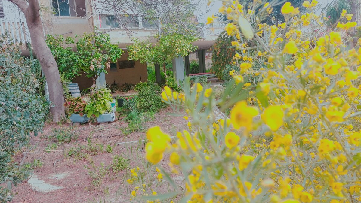 12  КЛОС (753) - CLOSE WAYS ALL