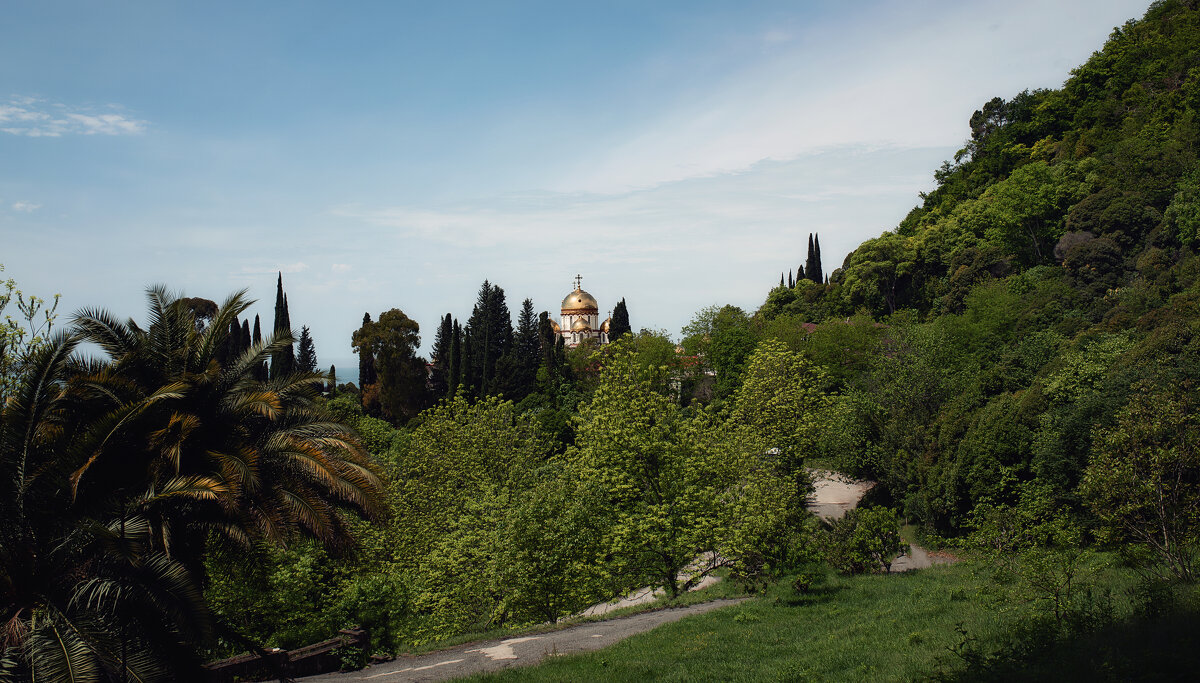 ... - Лилия . ... - Лилия .