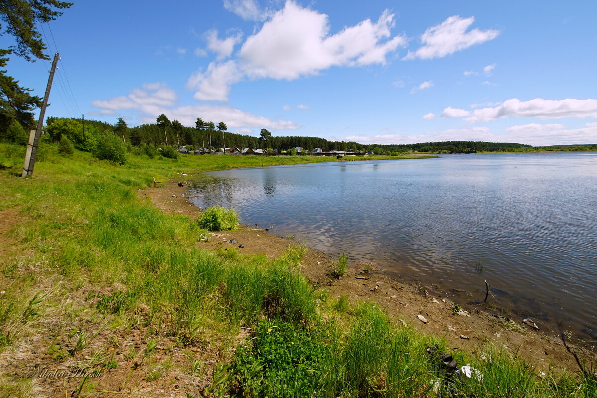 По берегу Турьи... - Николай Гирш По берегу Турьи... - Николай Гирш