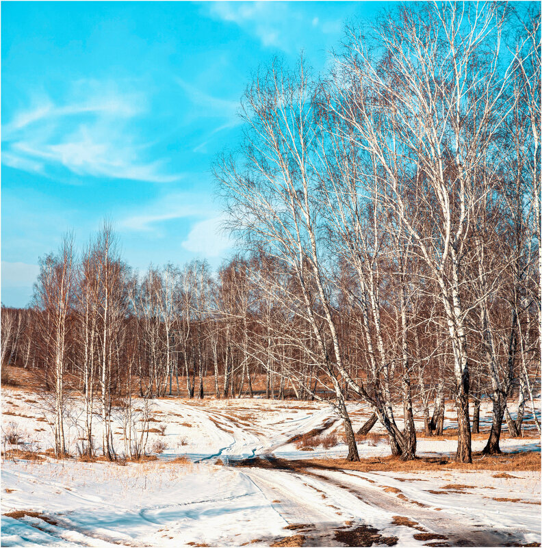 **** - Алексей Мезенцев