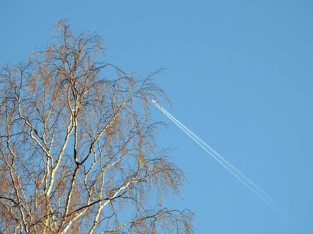 **** - ИННА ПОРОХОВА