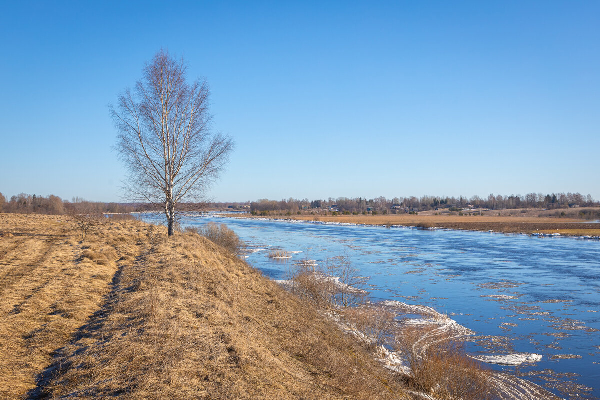 **** - Елизавета .