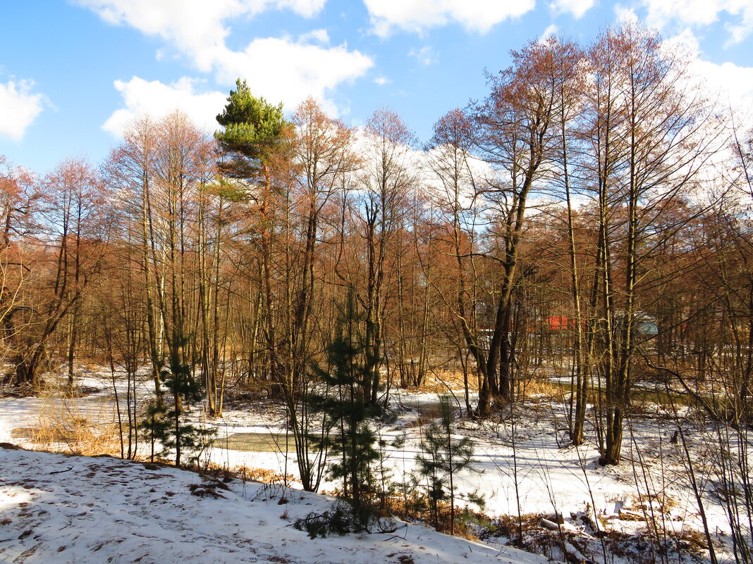 Весна пришла! - Андрей Снегерёв