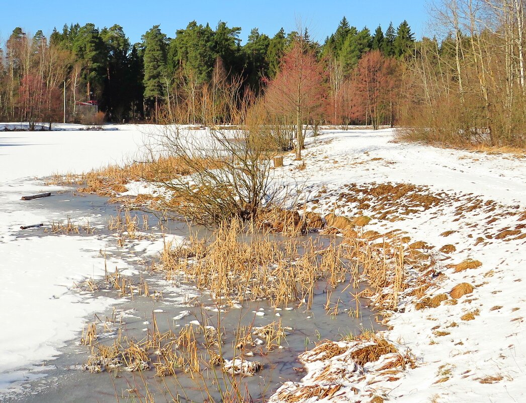 Промоины у берега - Андрей Снегерёв