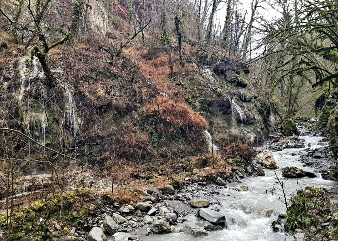 Солох-Аул Сочи - Tata Wolf