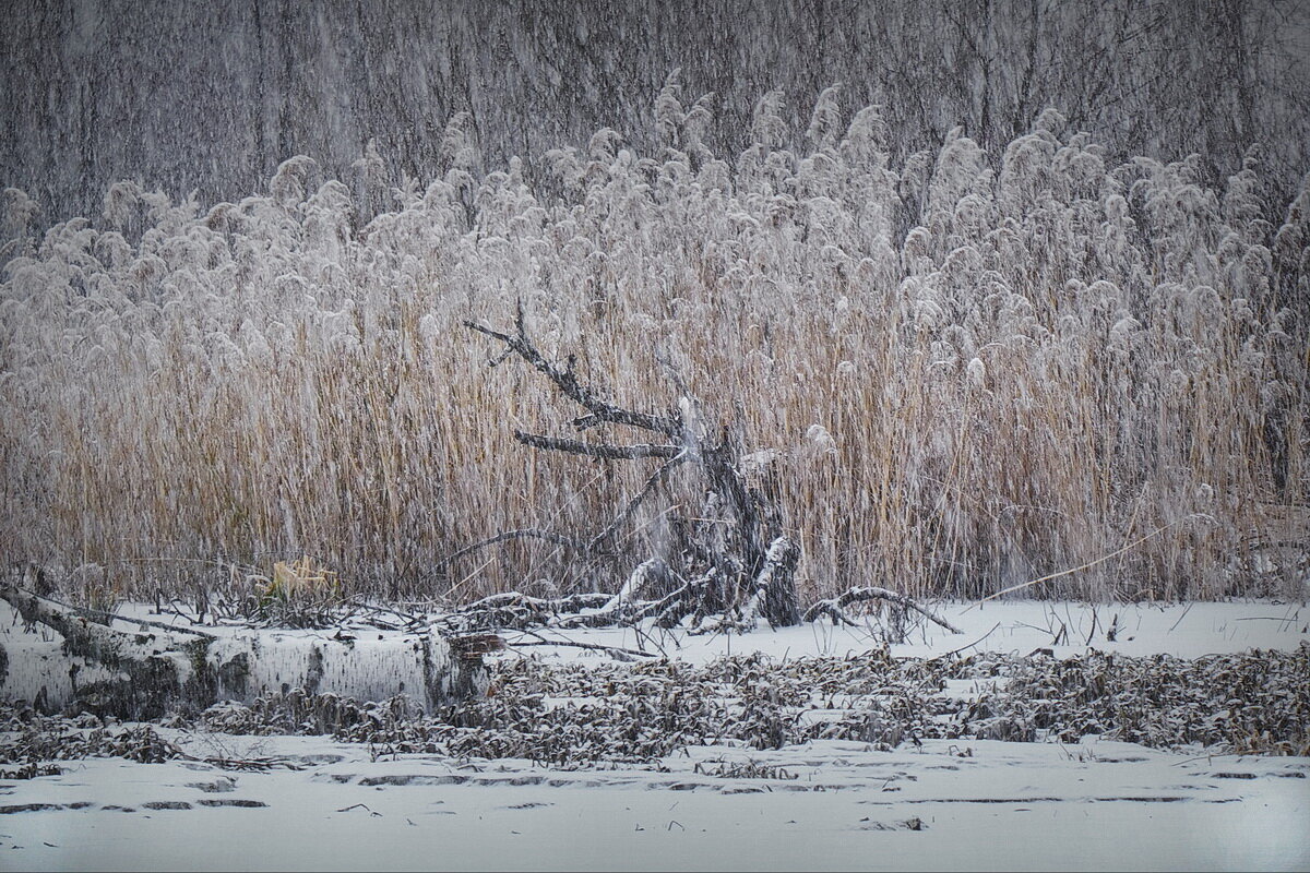 На оз. Малиновское... - Владимир Шошин На оз. Малиновское... - Владимир Шошин