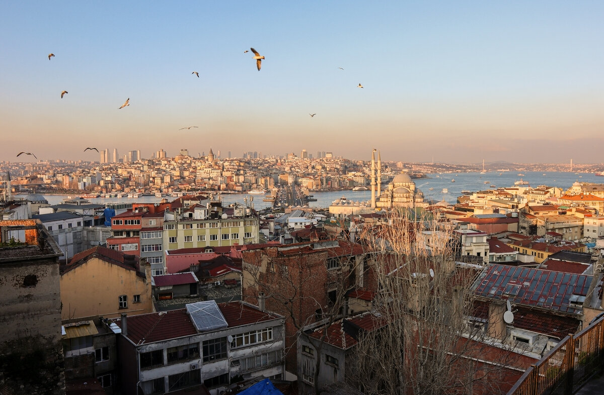 По крышам Стамбула - skijumper Иванов По крышам Стамбула - skijumper Иванов