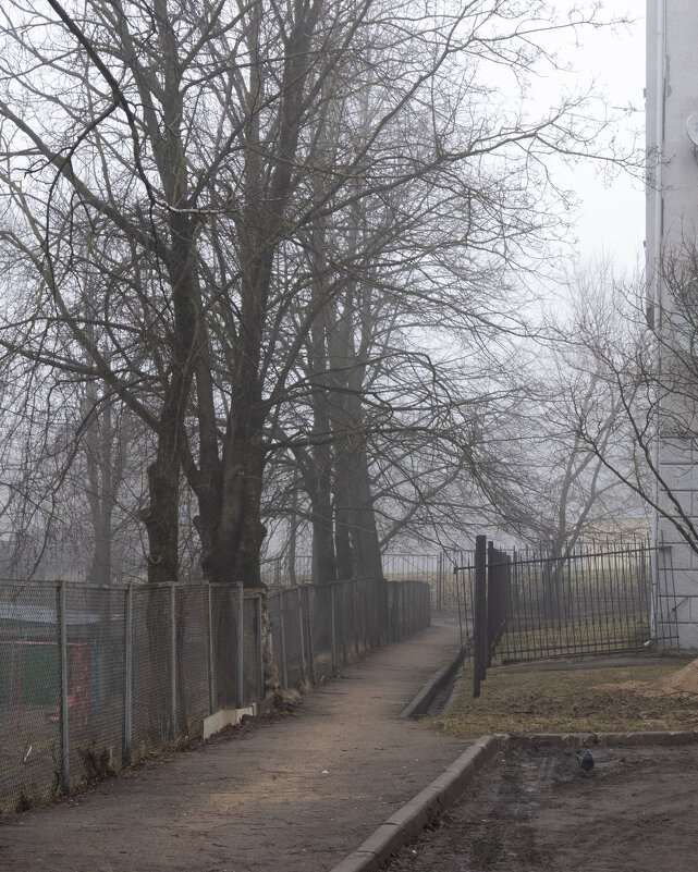 Тропинка - Татьяна *