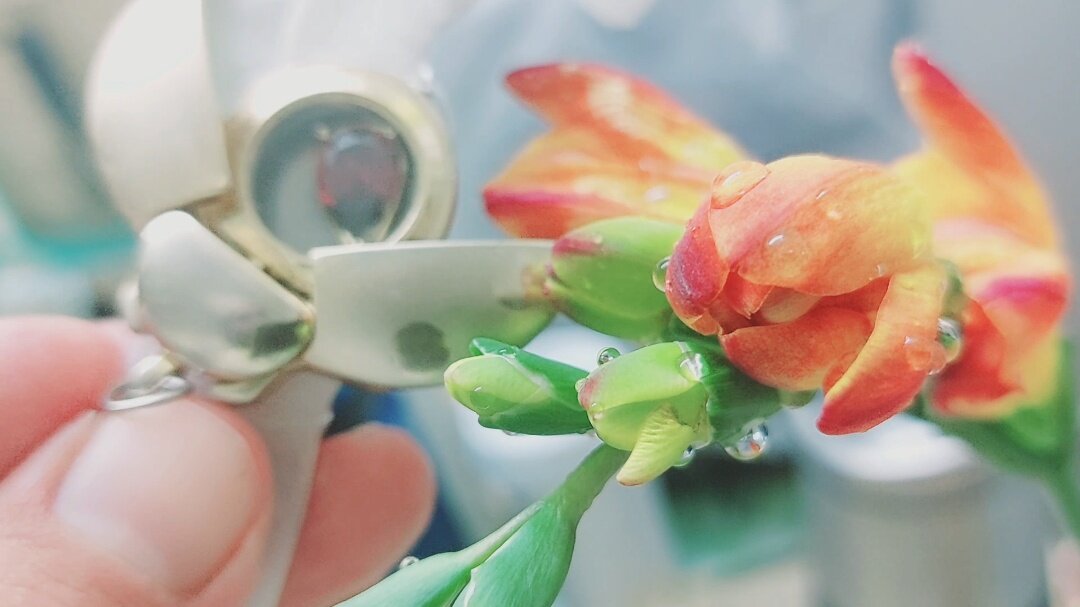 110 (52) - СТРЕН 