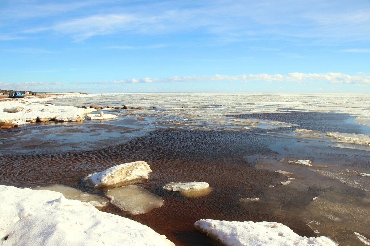 Зеленогорск. Март - Наталья Герасимова Зеленогорск. Март - Наталья Герасимова