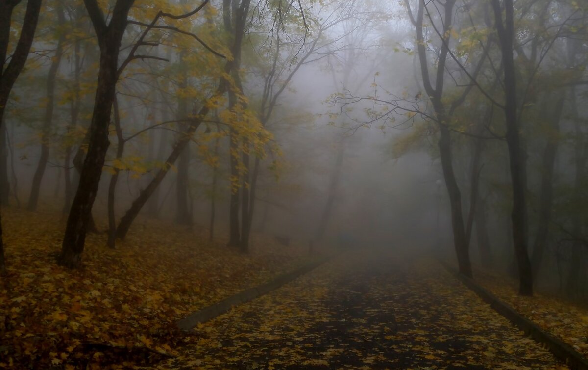 В старом парке..... - Юрий Цыплятников В старом парке..... - Юрий Цыплятников