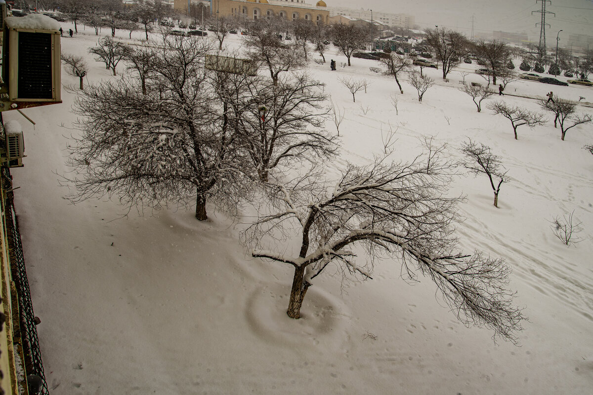 За окном - Анатолий Чикчирный