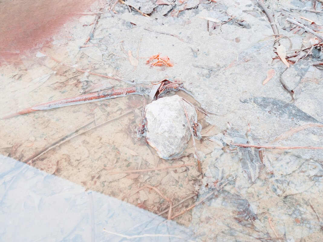 Камень, камнем, а похож на череп. - Игорь Солдаткин