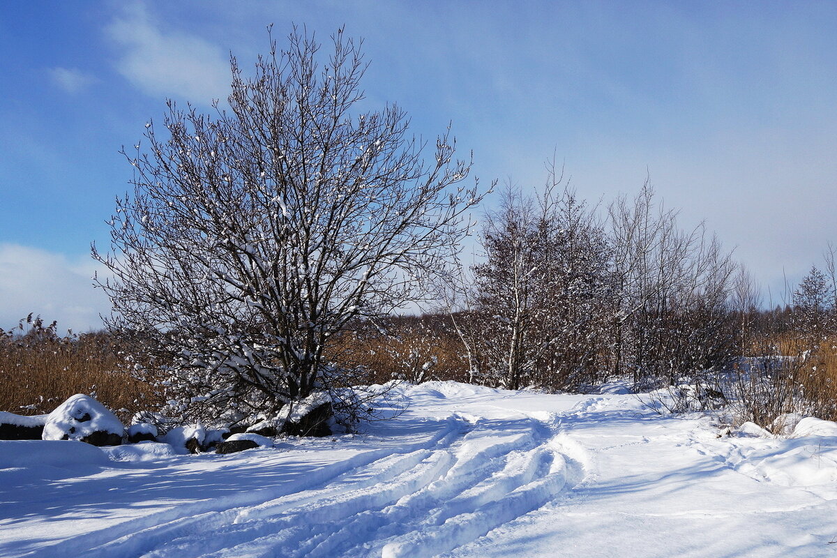 Зимушка-зима - Рита Симонова