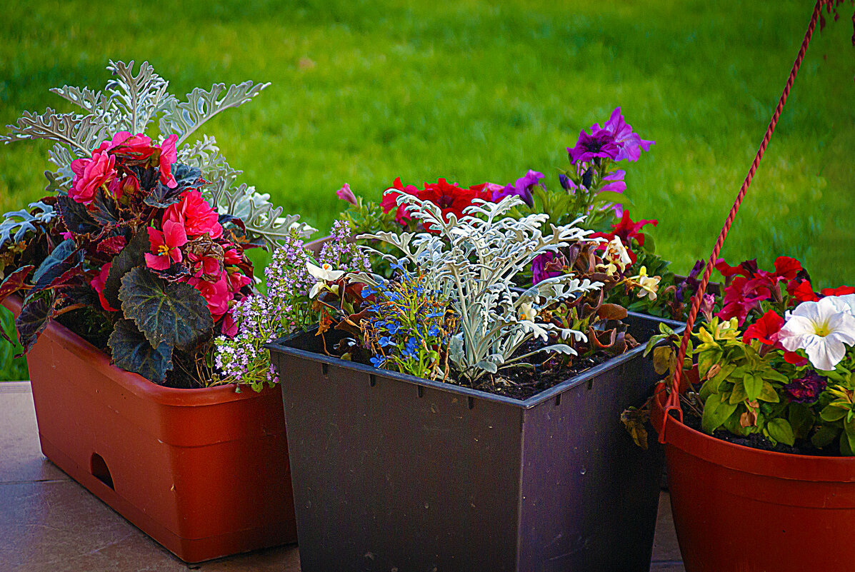 Весна пришла - Владимир Кроливец Весна пришла - Владимир Кроливец