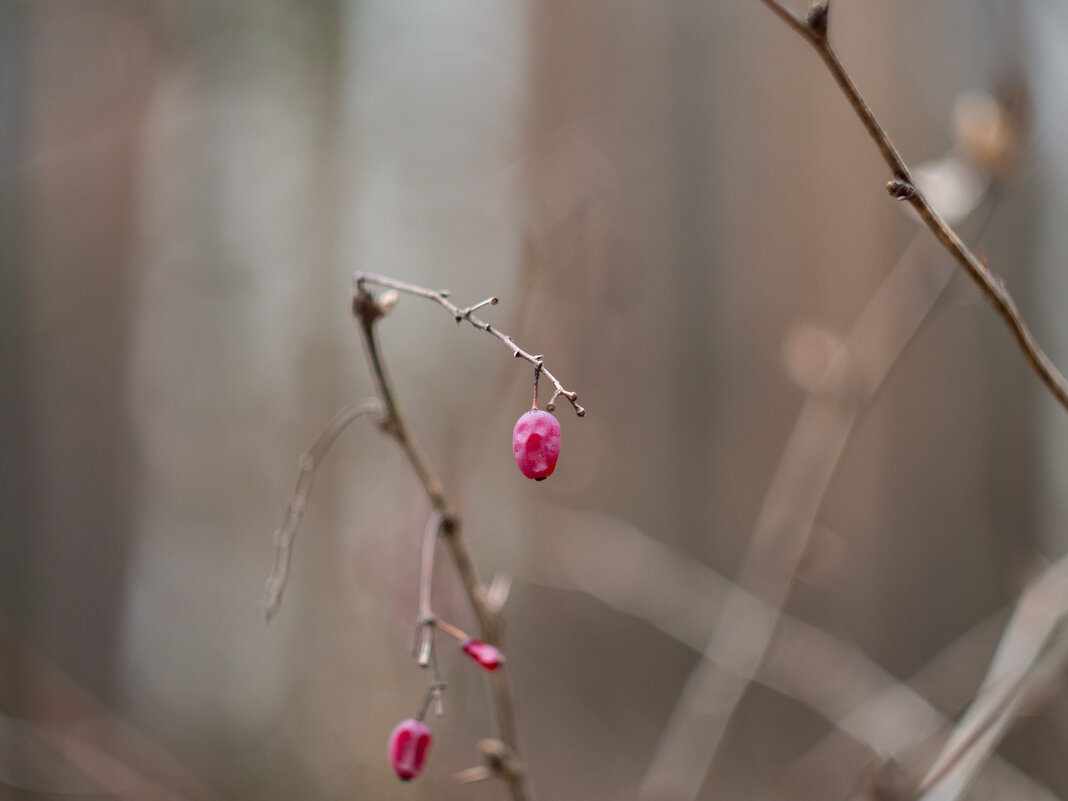 ___ - Yuriy V ___ - Yuriy V