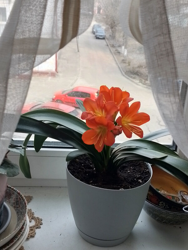 *** - Валентина Береснева