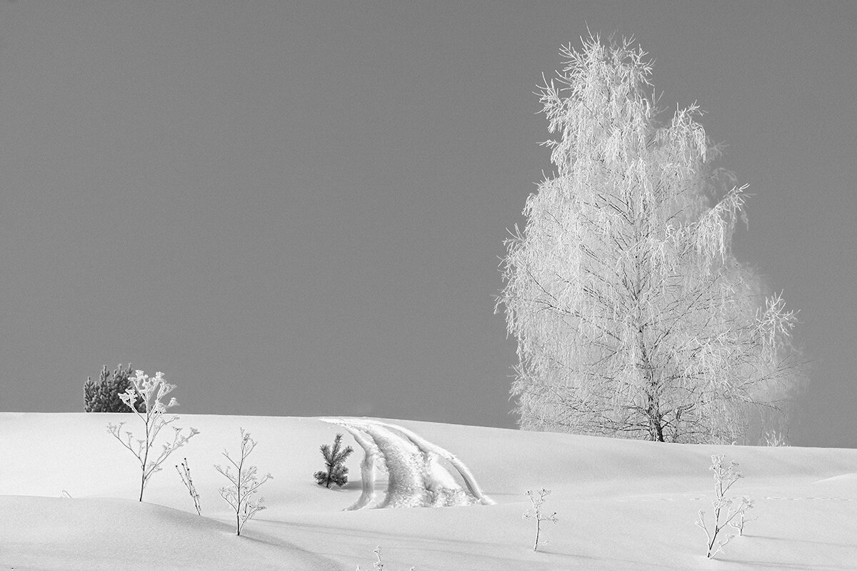 невеста . - Максимус Кунгурский невеста . - Максимус Кунгурский