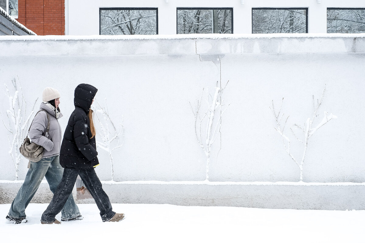 Стена... - Влад Никишин