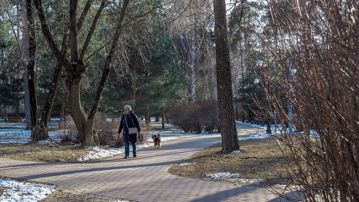 ***** - юрий поляков