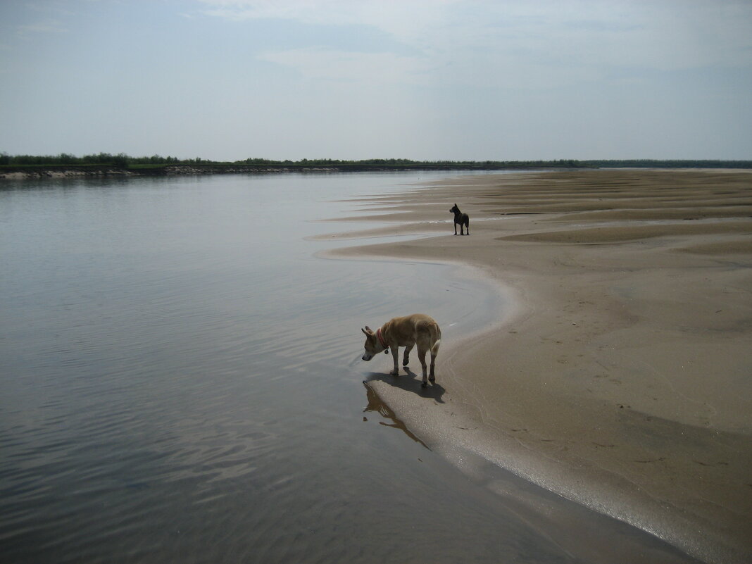 Лето - Anna Ivanova