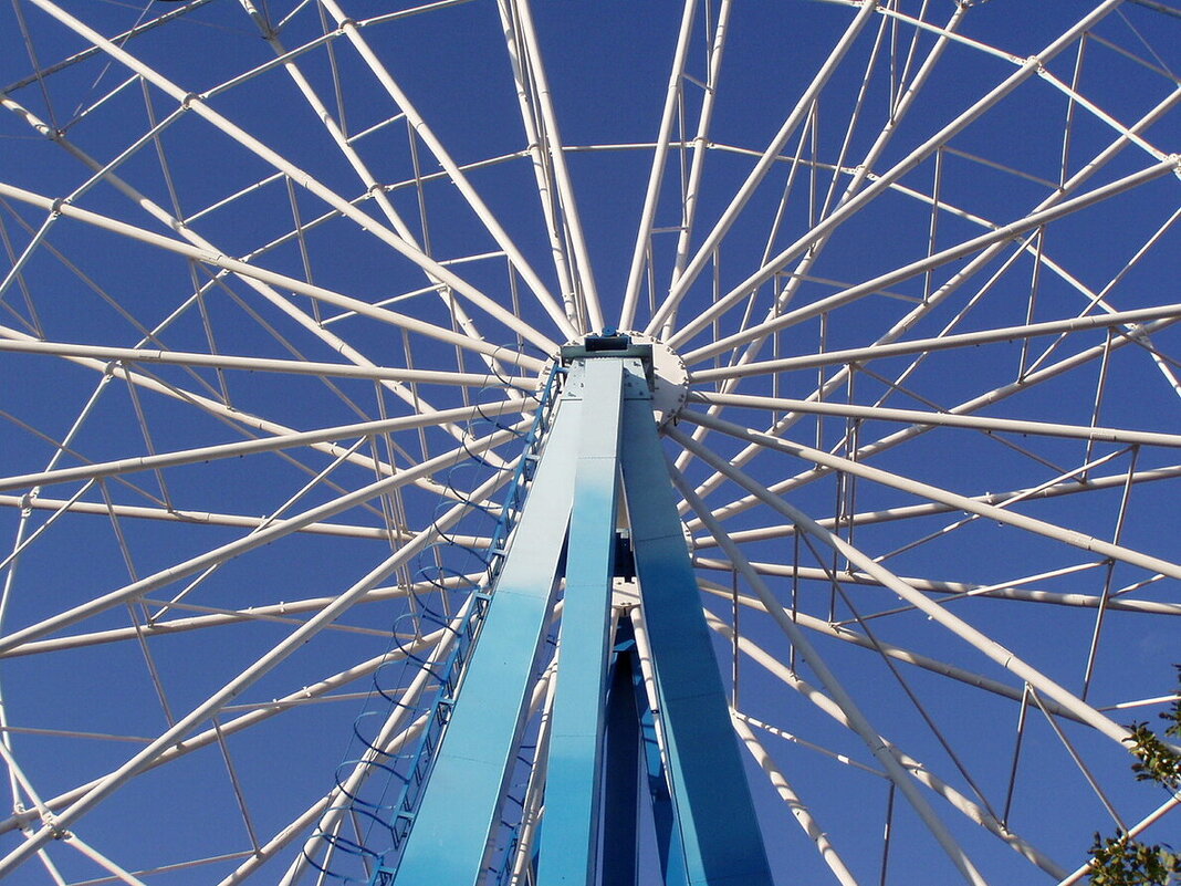 В парке СПБ... - vadim 